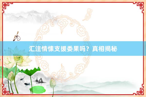 汇注情愫支援委果吗?真相揭秘